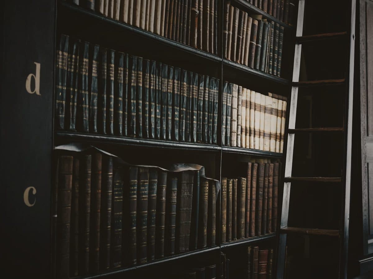 رفوف مكتبة قانونية داكنة